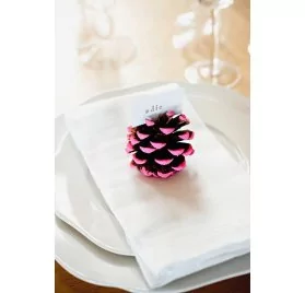 IDEES CREATIVES : Tuto : Réalisez un marque-place pomme de pin, par Madiwi