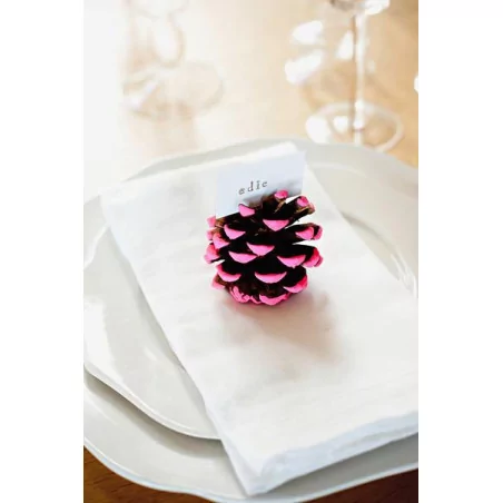 IDEES CREATIVES : Tuto : Réalisez un marque-place pomme de pin, par Madiwi