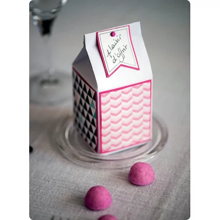 IDEES CREATIVES : Tuto : Réaliser une boîte à lait cadeau, par Toga