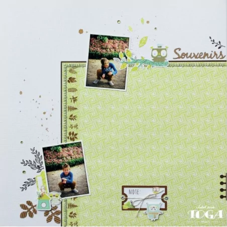 IDEES CREATIVES : Tuto : Réaliser une page de scrap' avec la collection "Hiboux", par Toga