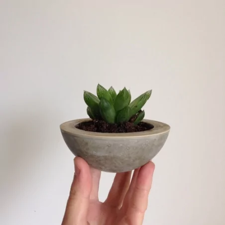 IDEES CREATIVES : Tuto : Réaliser une coupelle en béton, par Caroline