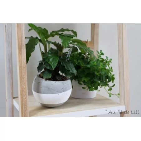 IDEES CREATIVES : Tuto : Réaliser un pot en béton, par Lili