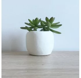 IDEES CREATIVES : Tuto : Réaliser des pots pour succulentes, par Charlov