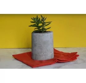 IDEES CREATIVES : Vidéo - Réaliser un terrarium en béton, par Studio Cyanotype