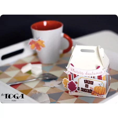 IDEES CREATIVES : Tuto : Réaliser une boîte à Thé, par Toga
