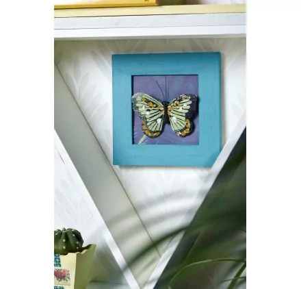 IDEES CREATIVES : Tuto - Urban Jungle - Le cadre à papillon