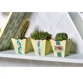 IDEES CREATIVES : Tuto - Urban Jungle - Les petits pots à Cactus