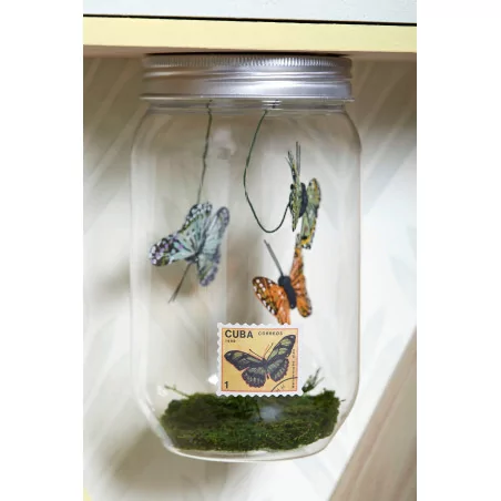 IDEES CREATIVES : Tuto - Urban Jungle - Le bocal aux papillons