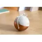 Décoration sobre dans un espace très contemporain - La boule en bois
