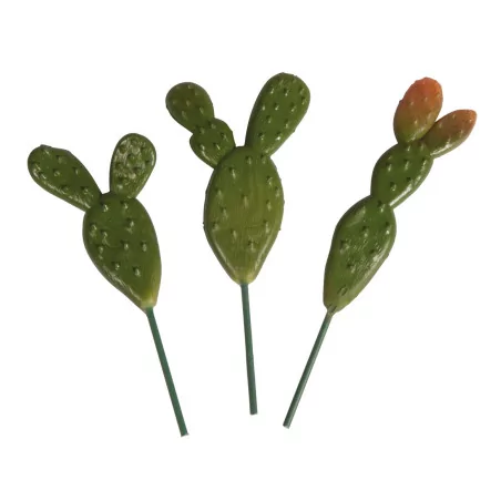 AFFAIRES : Cactus à piquer 'Rayher' Qté 3 4.5x10 cm