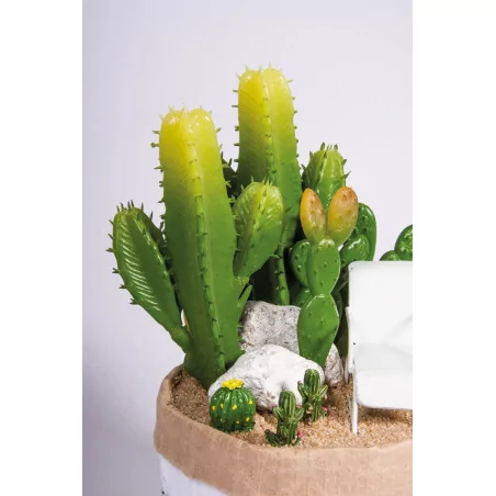 AFFAIRES : Cactus à piquer 'Rayher' 7.3x15 cm