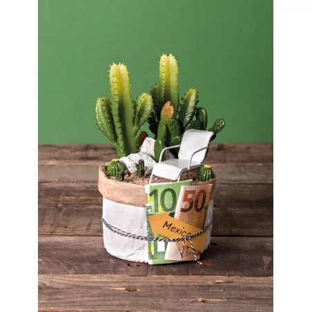Cactus à piquer 'Rayher' 7.3x15 cm