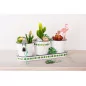 Plateau en zinc avec 3 pots 'Rayher' 30.5x2.5 cm Plateau en zinc avec 3 pots 'Rayher' 30.5x2.5 cm