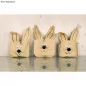 Lot de 3 sachets en papier kraft avec accessoires 'Rayher' Lapin de Pâques 17x28 cm