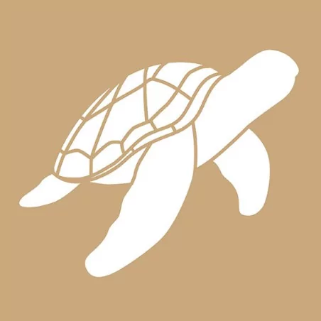 POCHOIRS : Lot de 2 Pochoirs 'Artemio' Tortues 20x20 cm