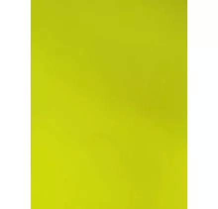 ART DU FIL : Rouleau de Flex textile Classic Mat 25 cm x 5 m 'Ankersmit' Lime