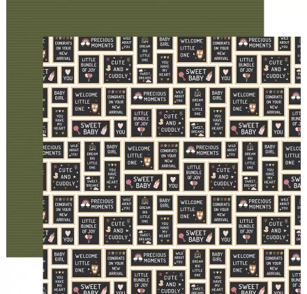 SCRAPBOOKING : Papier double 30x30 ' Echo Park Paper - Special Delivery Baby Girl' Baby Girl Signs