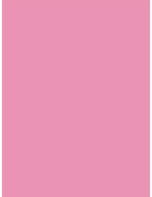ART DU FIL : Feuille de flex 30x20 cm 'Chemica - Quickflex Revolution' Rose