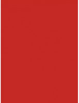 ART DU FIL : Feuille de flex 30x20 cm 'Chemica - Quickflex Revolution' Vivid Red